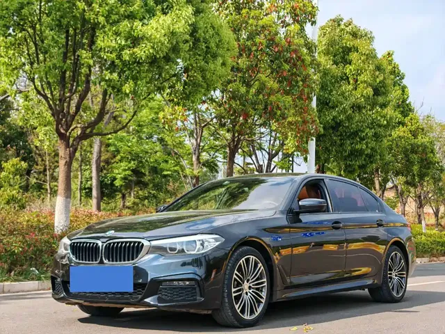 BMW 5 Series 2019 530Li Leading M Sport Package