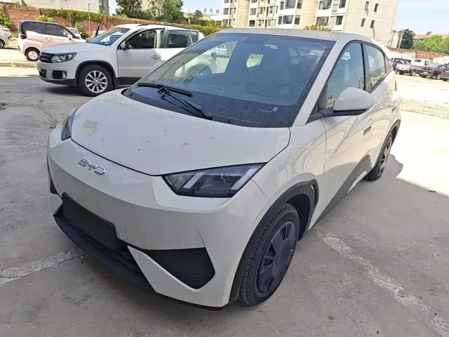 BYD Seagull 2025 Smart Drive Edition 305km Vitality Version