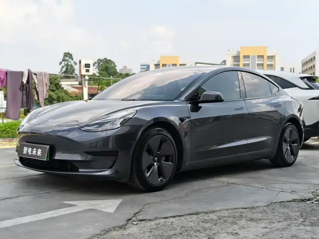 Tesla Model 3 2021 Standard Range Rear-Wheel Drive Upgrade 3D6