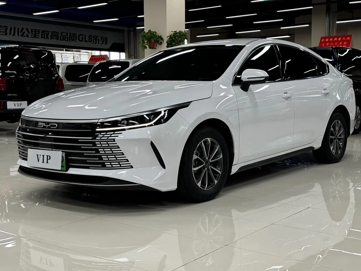 BYD Destroyer 05 2024 Glory Edition DM-i 55KM Luxury
