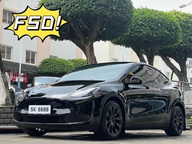 Tesla Model Y 2022 Long Range AWD