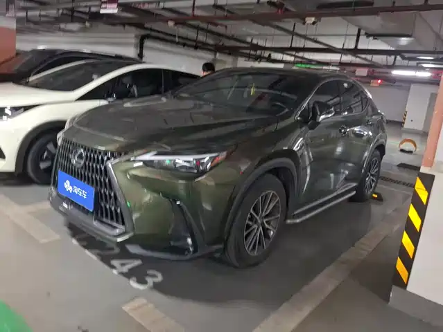 Lexus NX 2022 260 FWD Joy Creation Edition