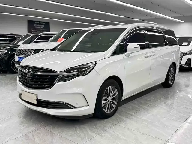 Buick GL8 2022 ES Landmark 653T Premium
