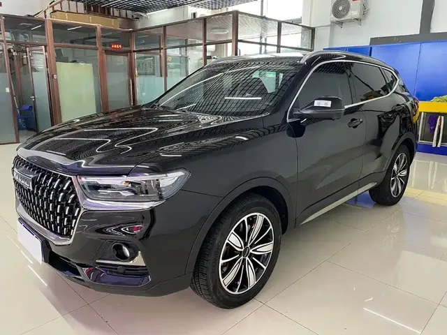 Haval H6 2023 National Trend Edition 1.5T Automatic Champion