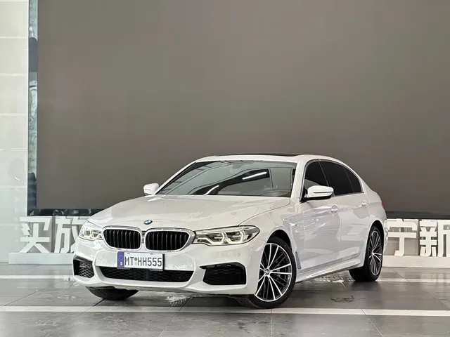 BMW 5 Series 2020 530Li Leading M Sport Package
