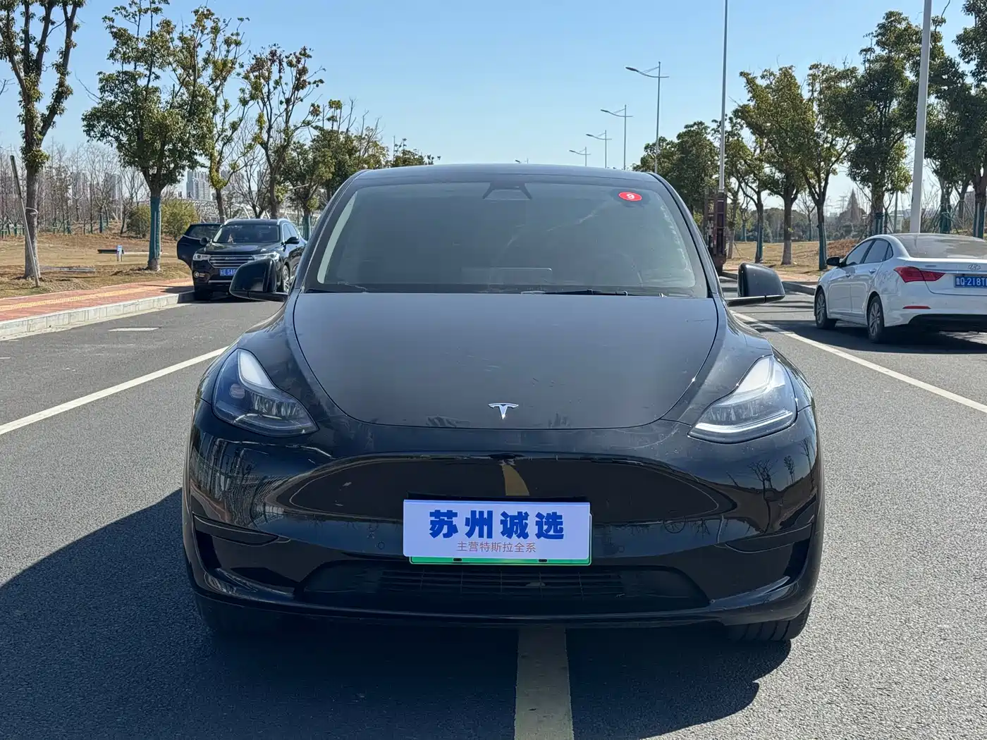 Tesla Model Y 2022 Rear-Wheel Drive Version