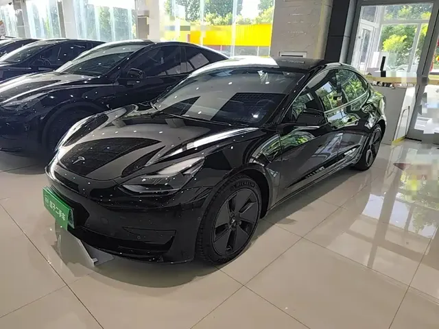 Tesla Model 3 2022 Model Rear-Wheel Drive Version