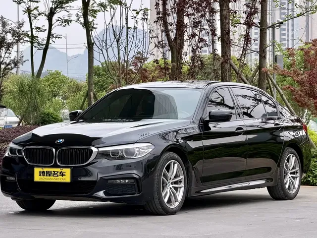 BMW 5 Series 2019 525Li M Sport Package