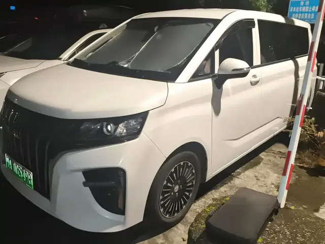 BAW (Beijing Automobile Works) Ruisheng Ace M7 EV, 2025