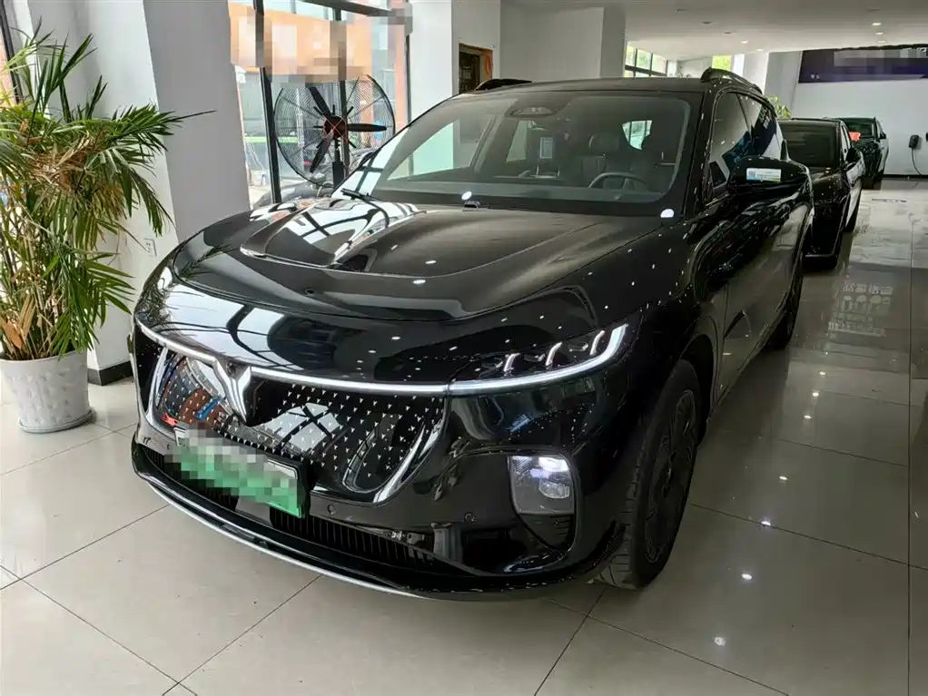 Voyah Auto Voyah Zhiyin 2024 Long Range Super Charging Edition