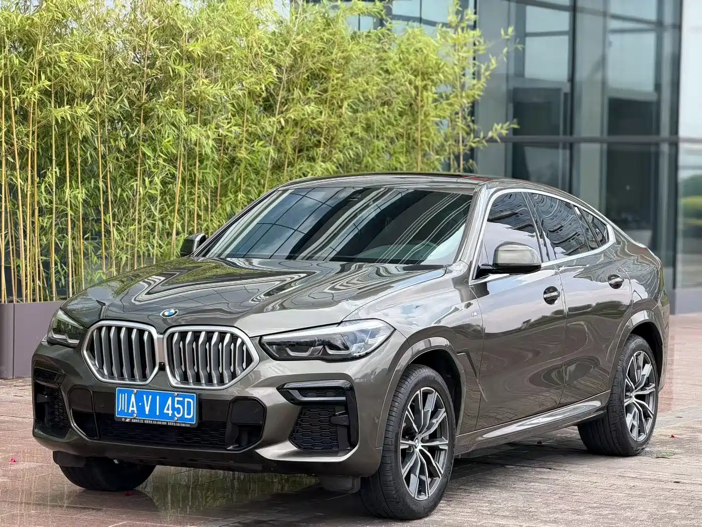 BMW X6 2022 xDrive30i M Sport Package