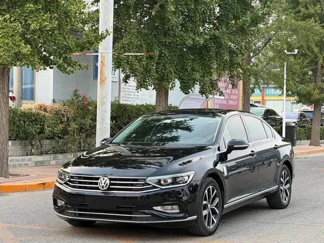 Volkswagen Magotan 2019 330TSI DSG Luxury Class China VI