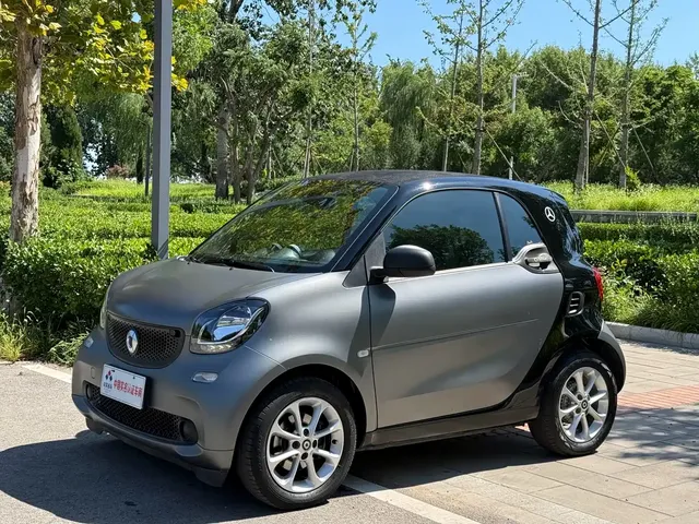 smart fortwo 2018 1.0L 52kW Hardtop Agile Edition China V