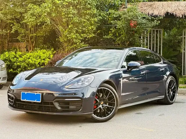 Porsche Panamera 2022 Panamera 2.9T Platinum Edition