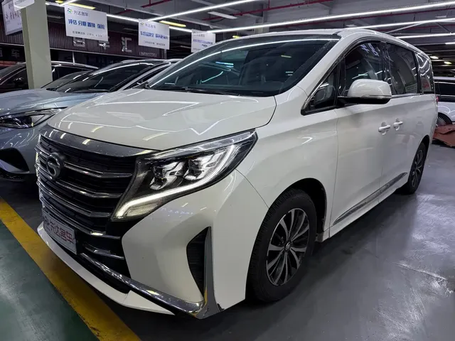 GAC Trumpchi M8 2021 Leading Show Series 390T Premium Edition