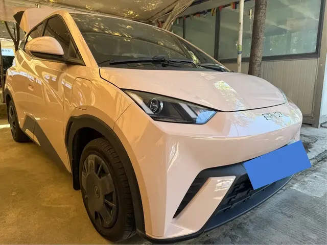 BYD Seagull 2024 Glory Edition 305km Vitality Edition