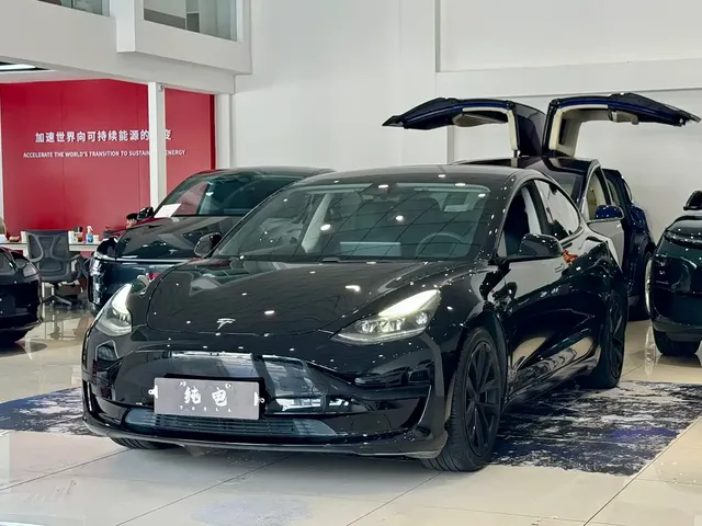 Tesla Model 3 2021 Standard Range Rear-Wheel Drive Upgrade