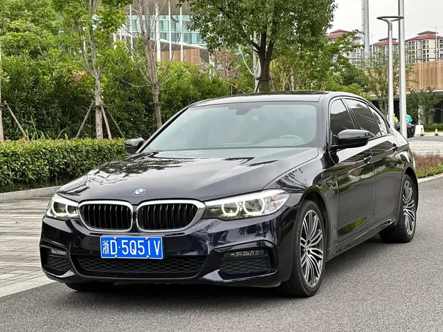 BMW 5 Series 2019 530Li Leading M Sport Package