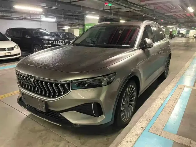 Voyah Auto VOYAH FREE 2021 4WD Extended Range Launch Edition Exclusive Luxury Package