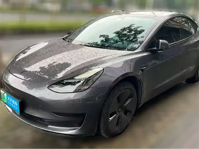 Tesla Model 3 2022 Model Rear-Wheel Drive Version