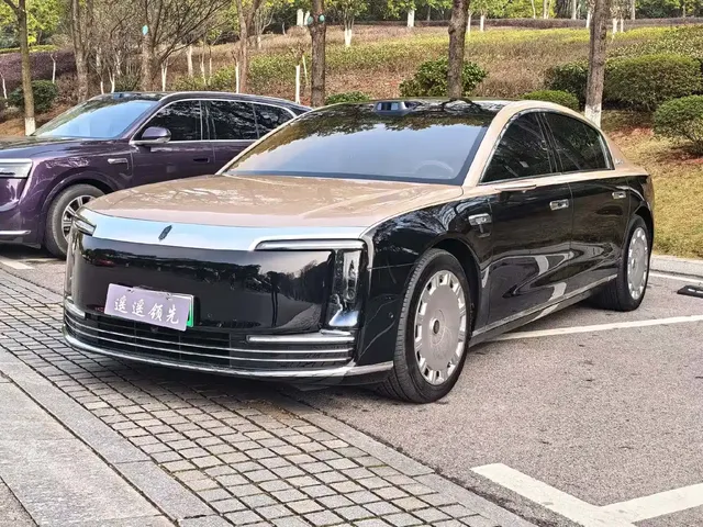 Zunjie S800 2025 Range Extender Starlight Executive 4-Seater