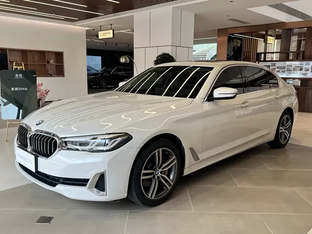 BMW 5 Series 2021 530Li Leading Luxury Package