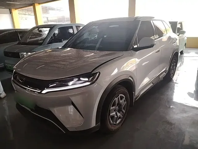 BYD Yuan UP 2025 Model 301KM Navigator