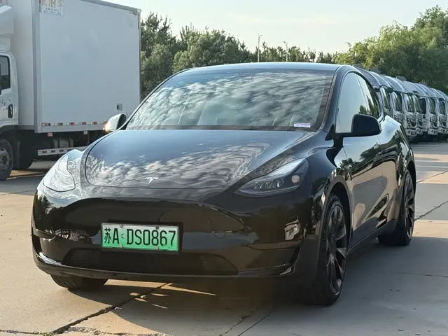 Tesla Model Y 2022 Rear-Wheel Drive Version