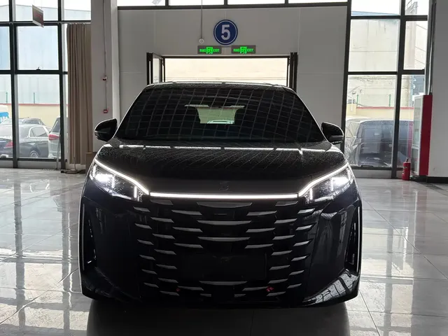 BYD Xia 2025 DM-i 1.5T 180km Surpass Edition