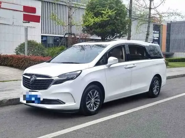 Buick GL8 2022 ES Landmark 653T Premium