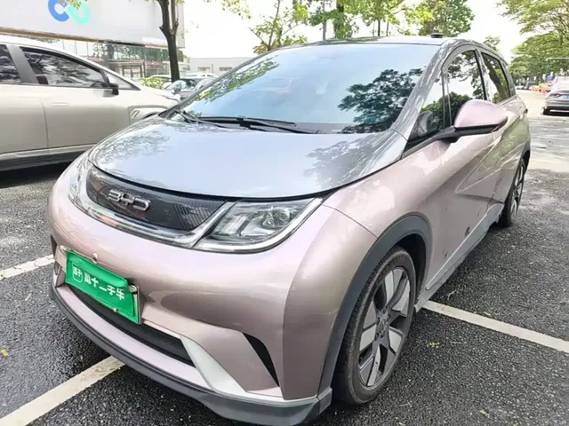 BYD Dolphin 2021 401km Knight Edition