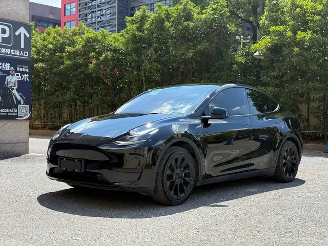 Tesla Model Y 2022 Rear-Wheel Drive Version