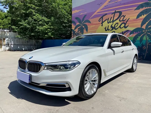 BMW 5 Series 2020 530Li Premium Luxury Package