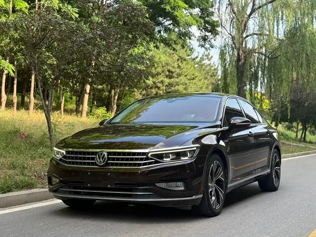 Volkswagen Magotan 2020 380TSI DSG Flagship Model