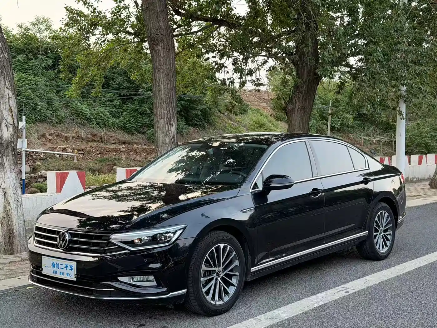 Volkswagen Magotan 2020 330TSI DSG Leading