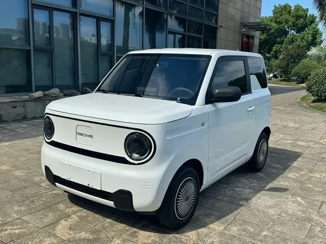 Geely Galaxy Panda 2024 Panda mini 200km Endurance Bear