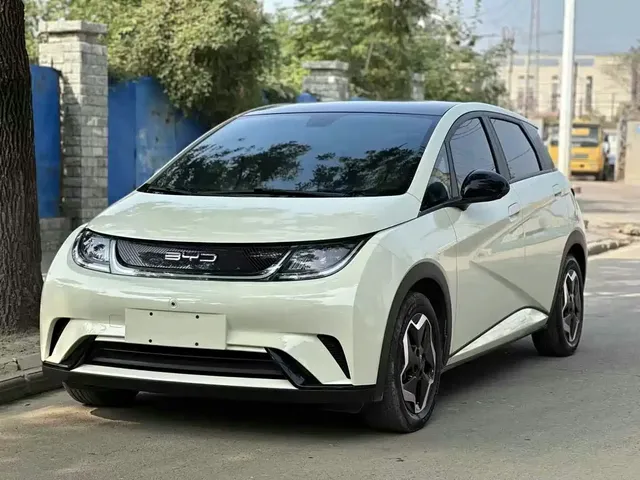 BYD Dolphin 2021 Model 405km Fashion Edition