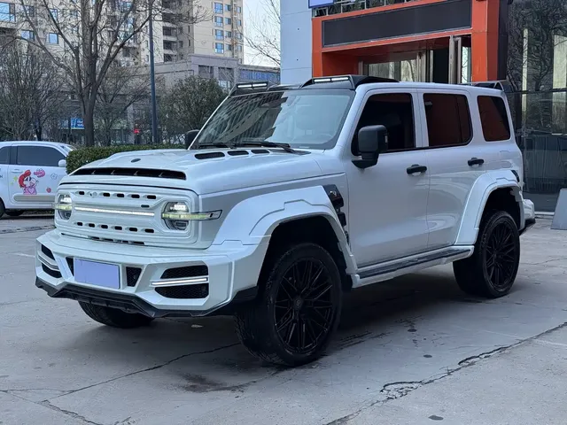 Tank 300 2021 Off-road Version 2.0T Conqueror