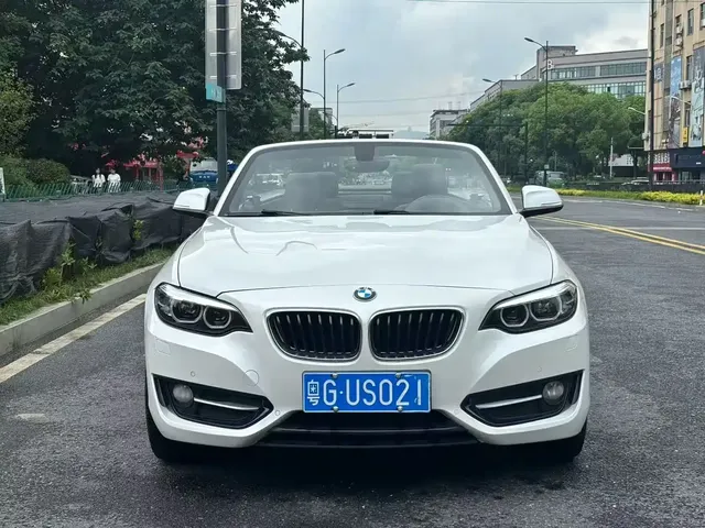 BMW 2 Series (Import) 2019 225i Convertible Coupe Sport Design Package