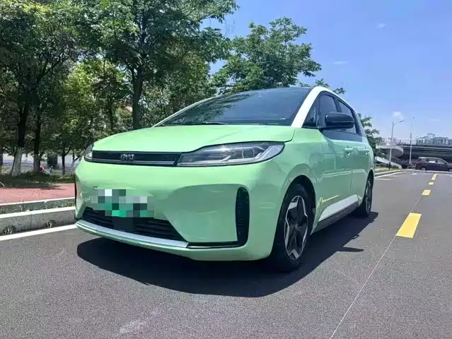 BYD D1 2021 Pioneer Edition