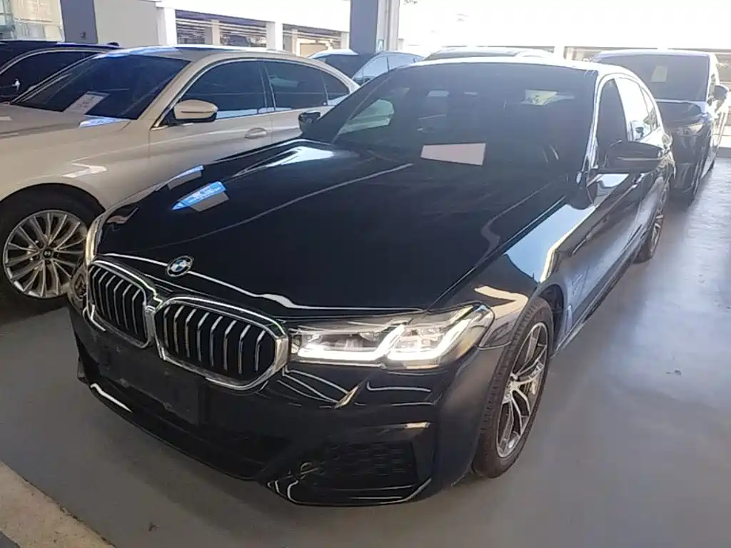 BMW 5 Series New Energy 2021 535Le M Sport Package