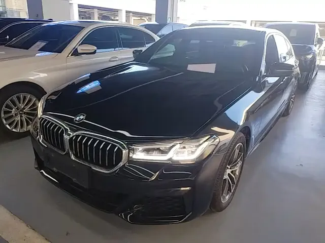 BMW 5 Series New Energy 2021 535Le M Sport Package