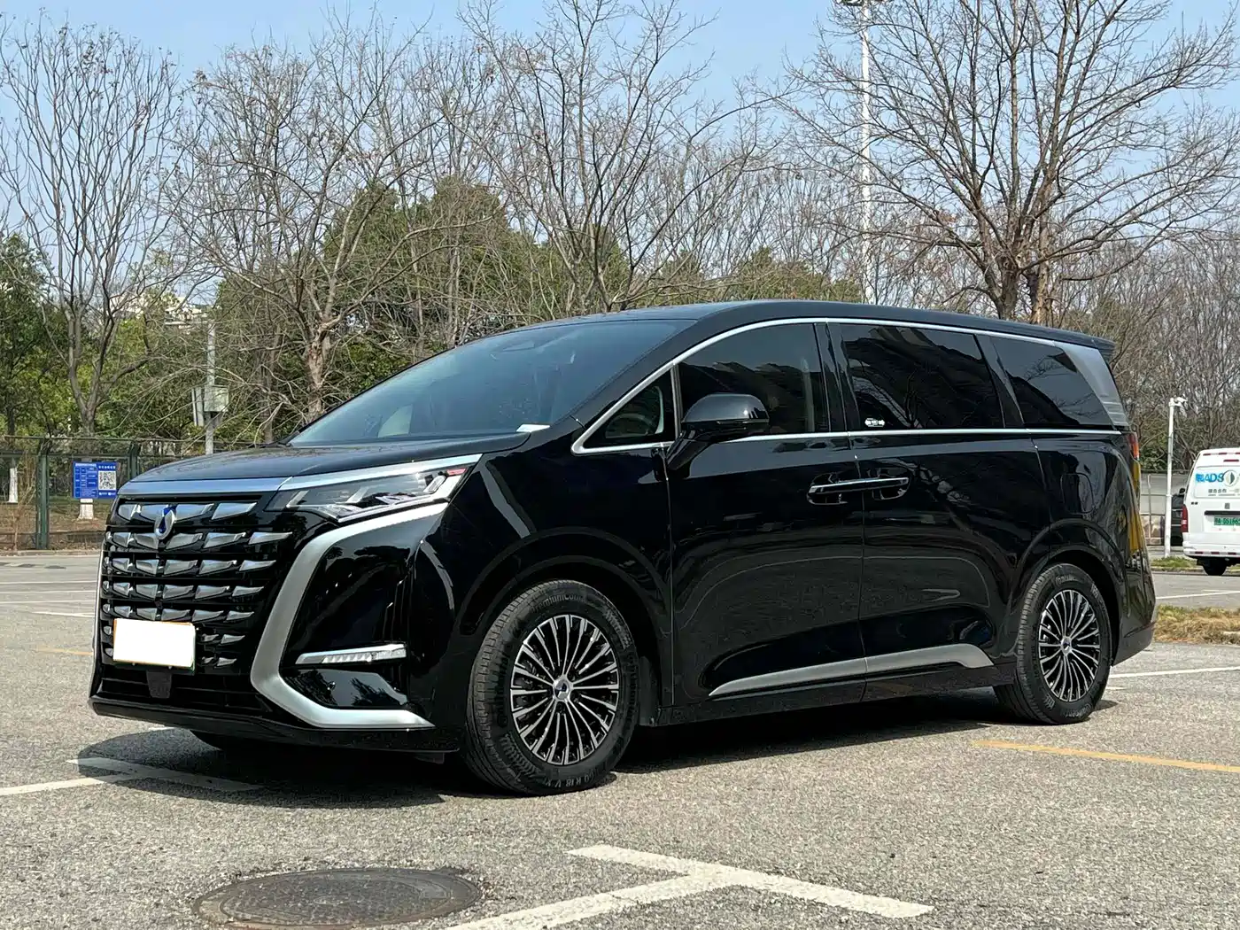 Denza D9 2024 DM-i 980 AWD Premium