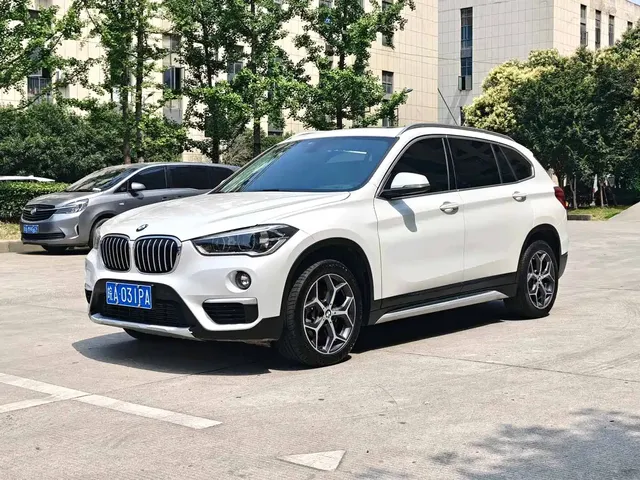 BMW X1 2019 xDrive20Li Premium Model