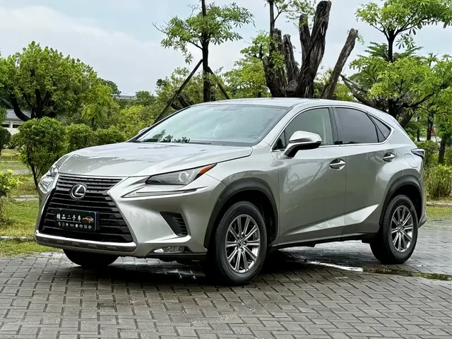 Lexus NX 2020 200 FWD Fengyi Edition China VI