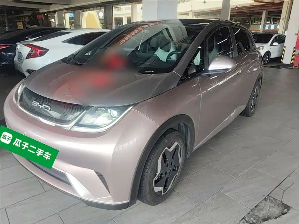 BYD Dolphin 2021 Model 405km Fashion Edition