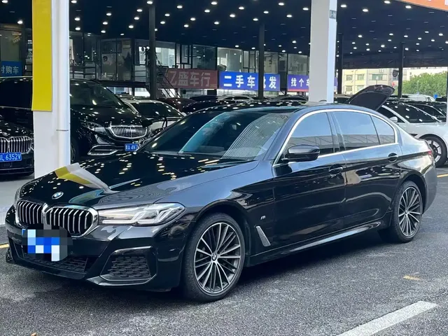 BMW 5 Series 2021 530Li Leading Luxury Package