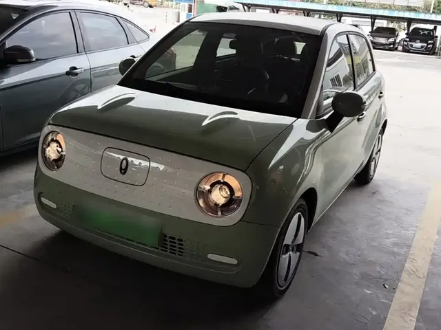 Ora Black Cat 2022 Facelift 301km Pet Edition LFP Version
