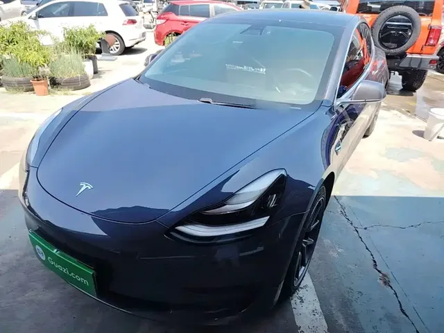 Tesla Model 3 2020 Standard Range Rear-Wheel Drive Upgrade