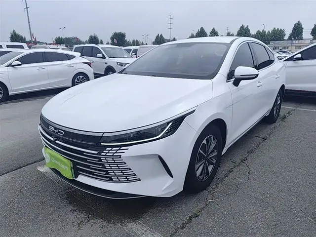 BYD Destroyer 05 2023 Champion Edition DM-i 55KM Luxury